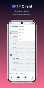 Termius – Modern SSH Client Screenshot 0