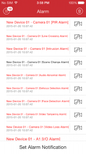 iVMS-4500 Screenshot 3